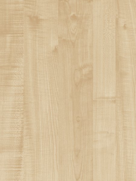 Клен Танзау U9520