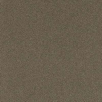 Arpa 2551
